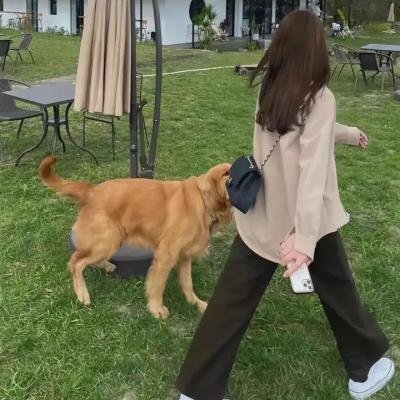 潘多拉的世界