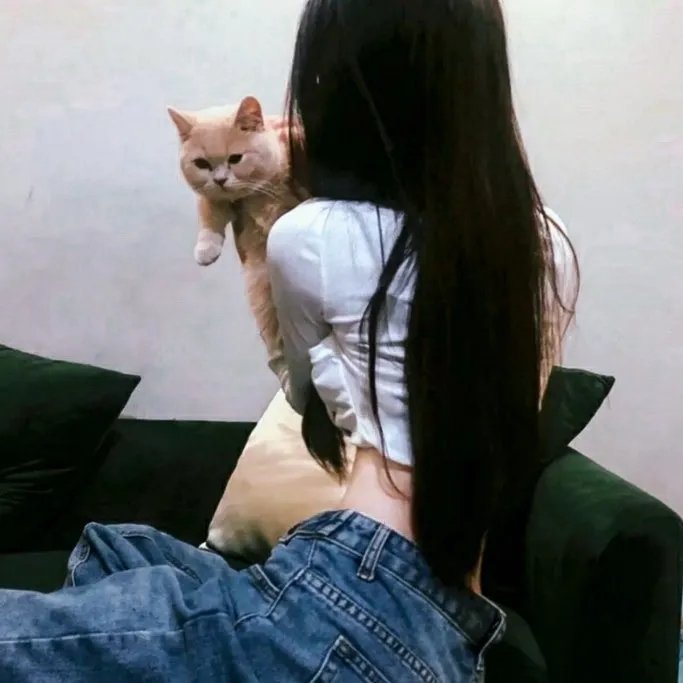 我的女神室友斗娜